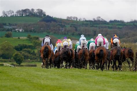 punchestown bets,punchestown 2024 tips